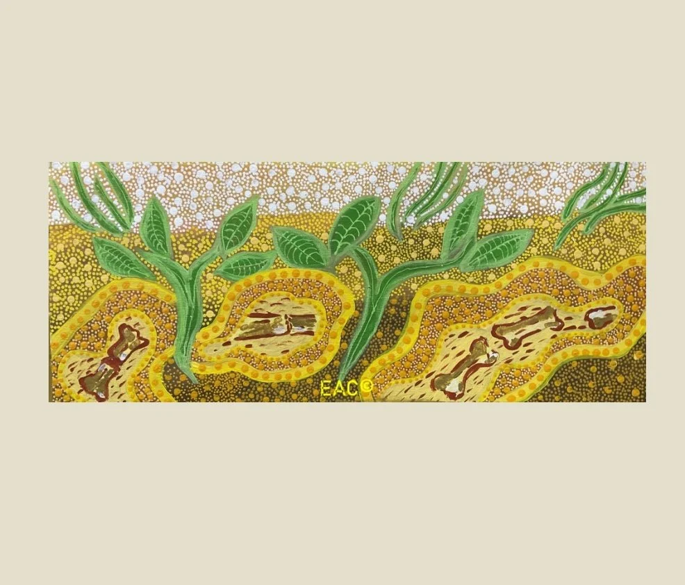 25.96  Alcoota Fossil Site - Janet.jpg