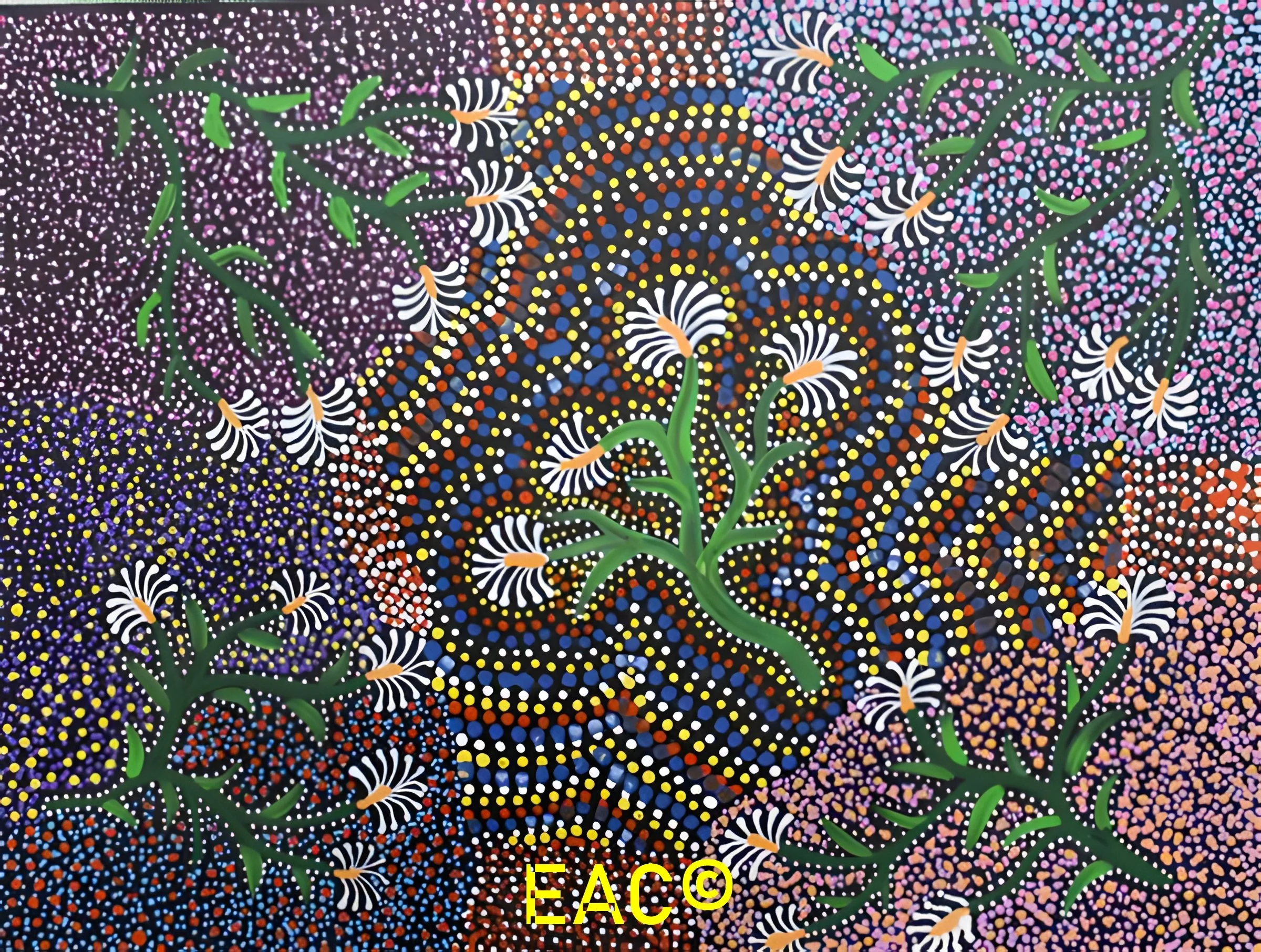 Shirley Dixon - Bush native flowers