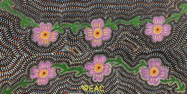 26.62 Wild native flowers - Shirley.webp