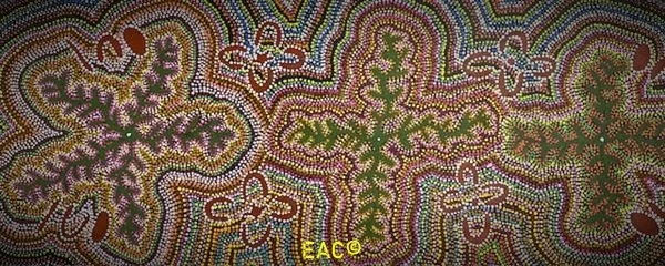 25.27 Bush Medicine - Joy.jpeg