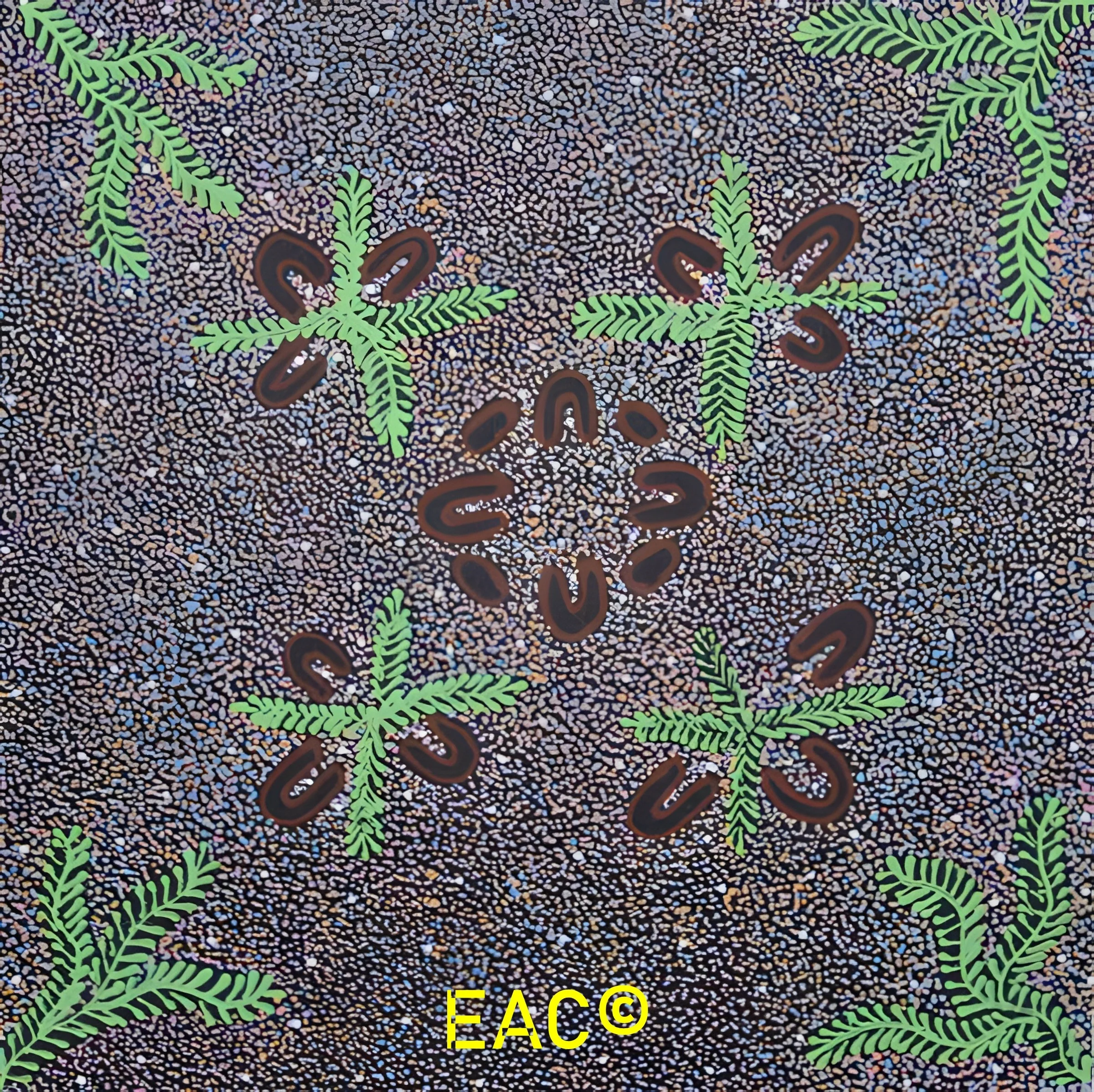 25.401 Women collecting bush medicine - Eliz.jpeg