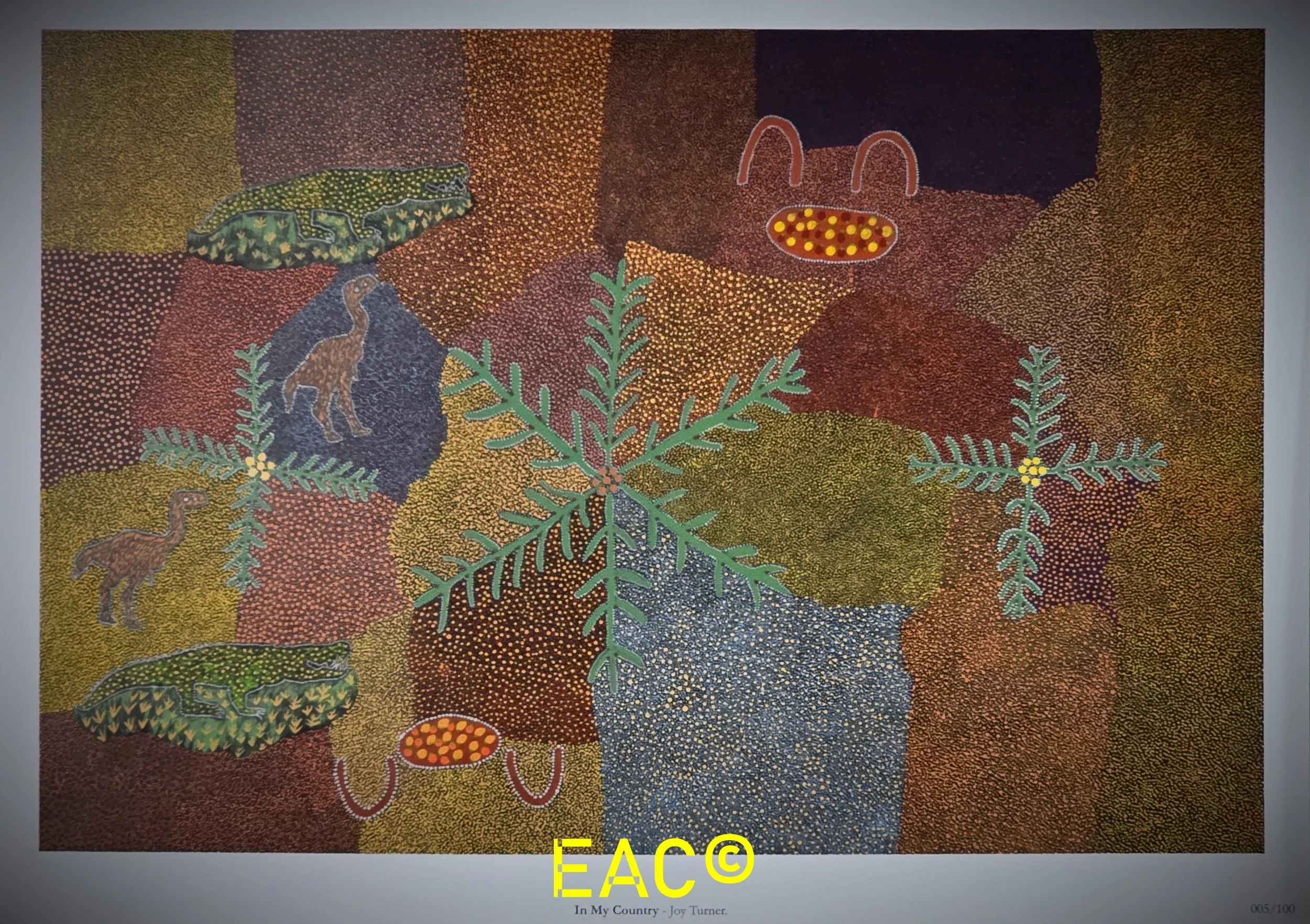 19en.449 In My Country - Joy Turner.jpeg