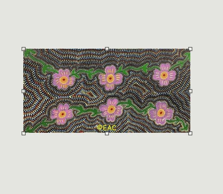 26.62 Wild native flowers - Shirley.jpg