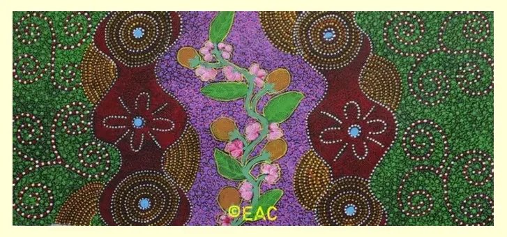 25.338 Bush Tucker - Thelma turn.webp