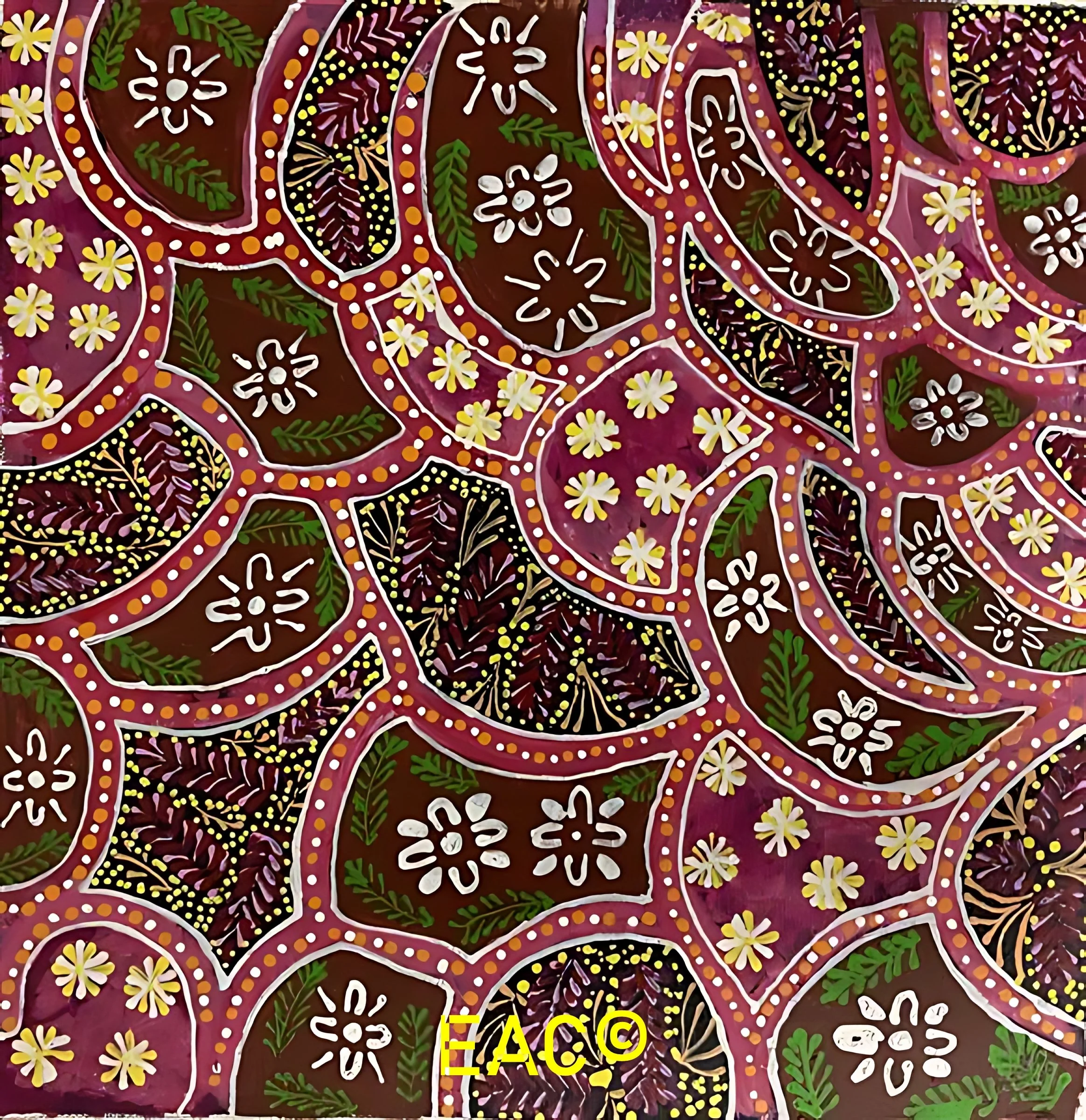 Elizabeth Dixon - Women collecting bush medicine