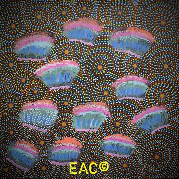 24.208 Native Flowers found on Country - Shirley.jpeg