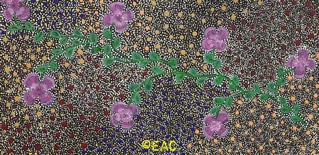 26.96 Bush native flowers - Elizabeth Dixon.webp