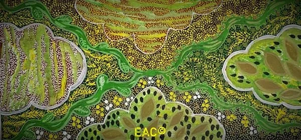 25.98 Bush Medicine Green Leaves and Dry Leaves - Janet.jpeg