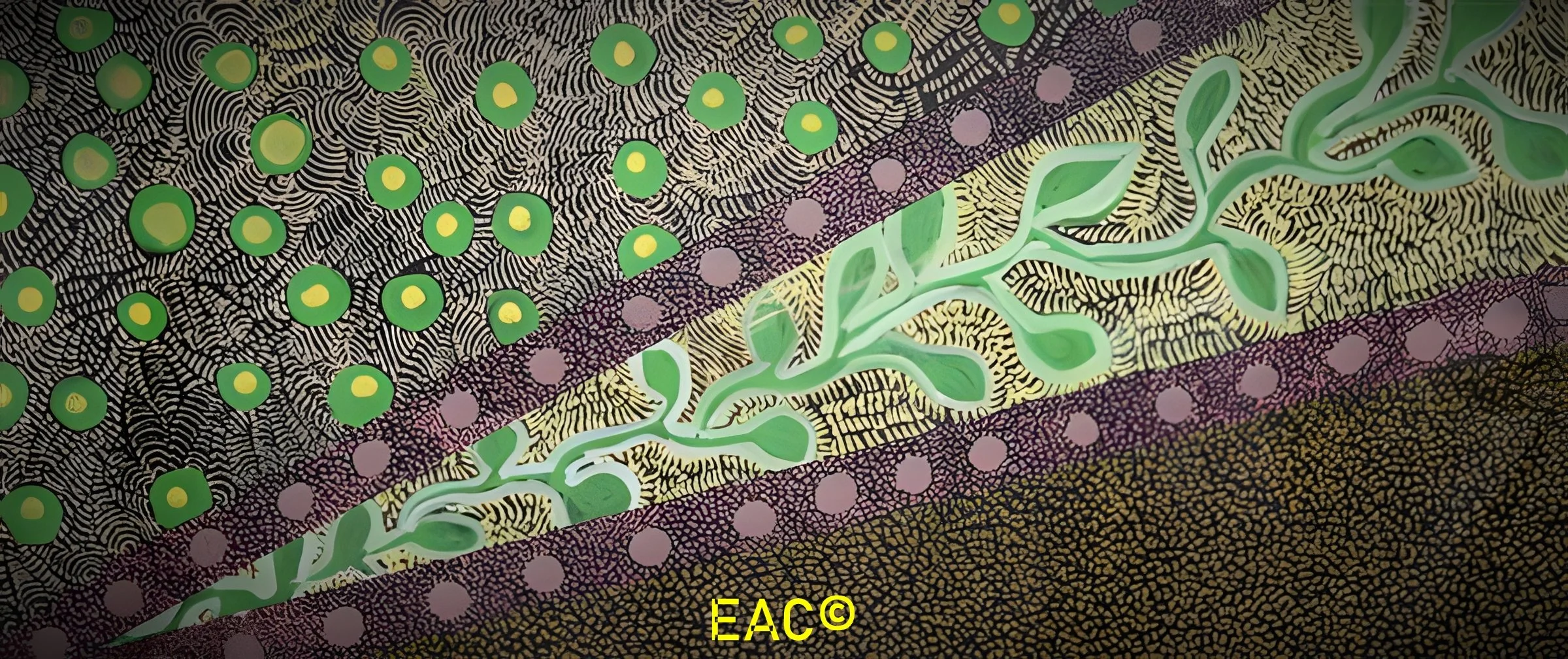 Janet Tilmouth - Bush Native Flowers