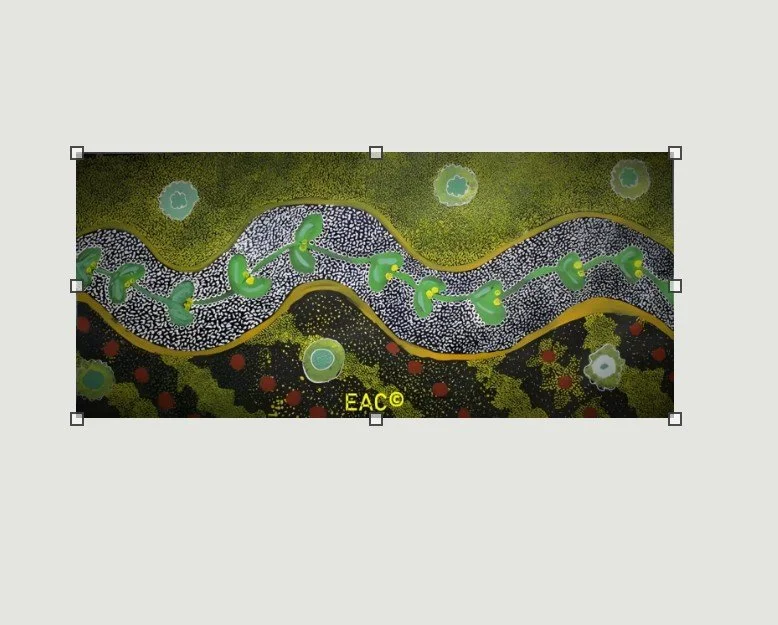 25.343 Native Flower Growing on Country.jpg
