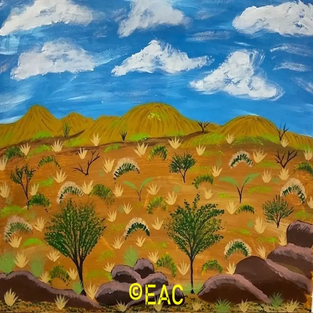 Thelma Dixon - Central desert dry season