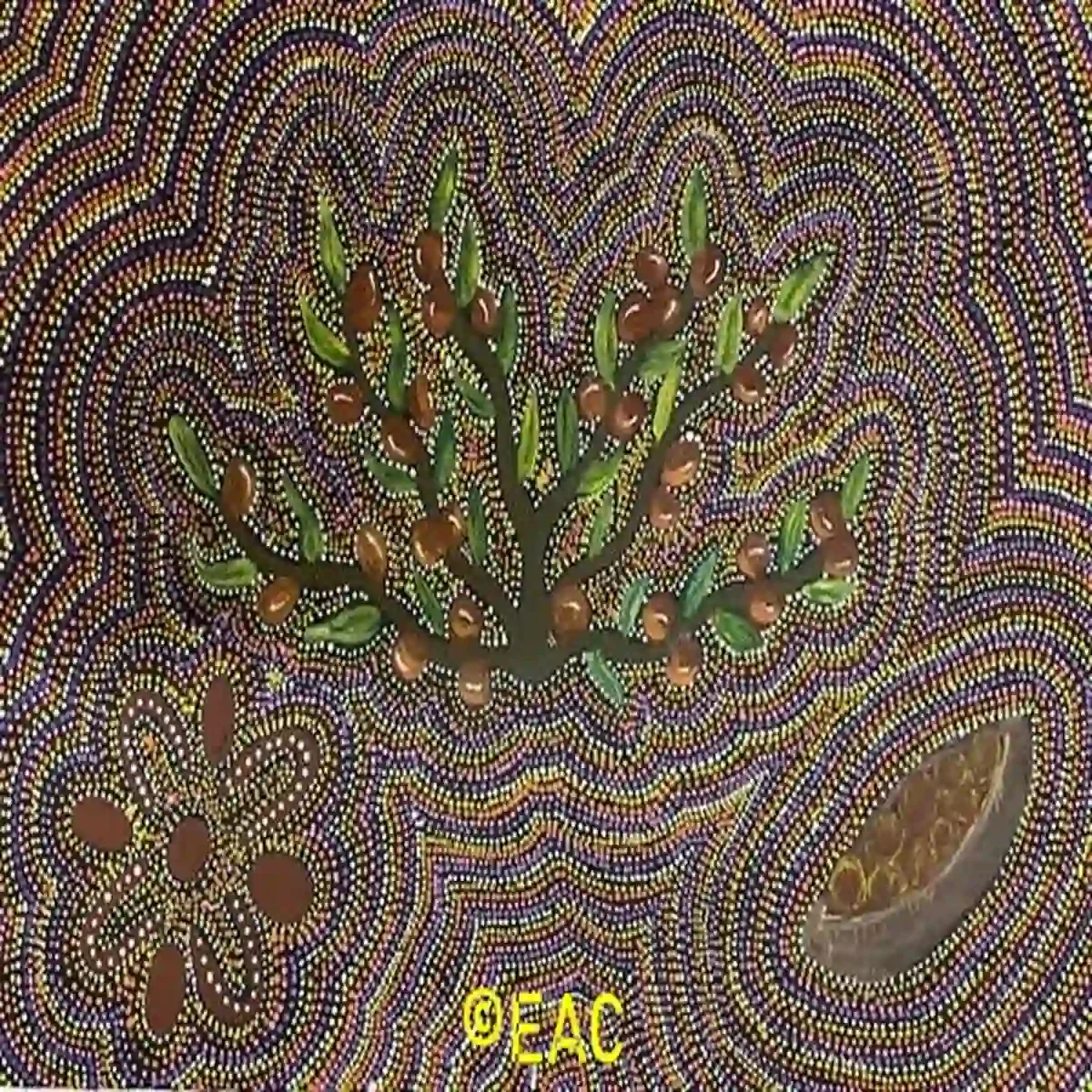 Dianne Dixon - Bush Tucker
