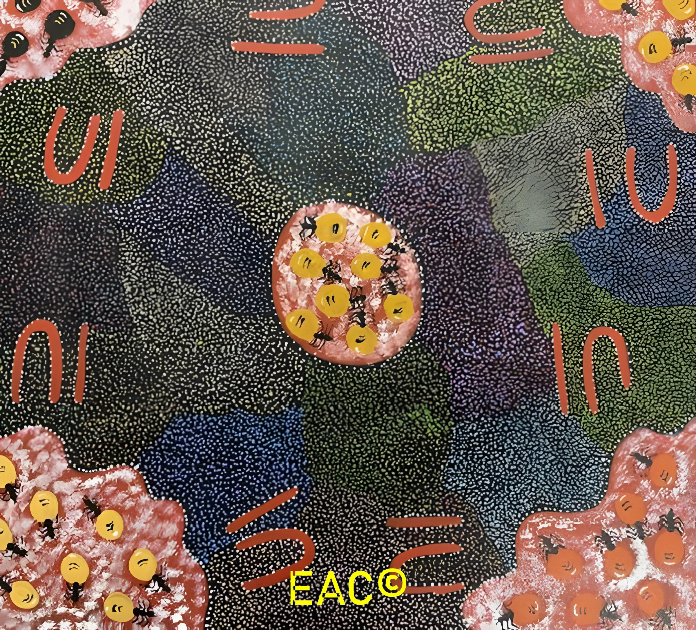 Barbara Tilmouth - Women digging honey ants