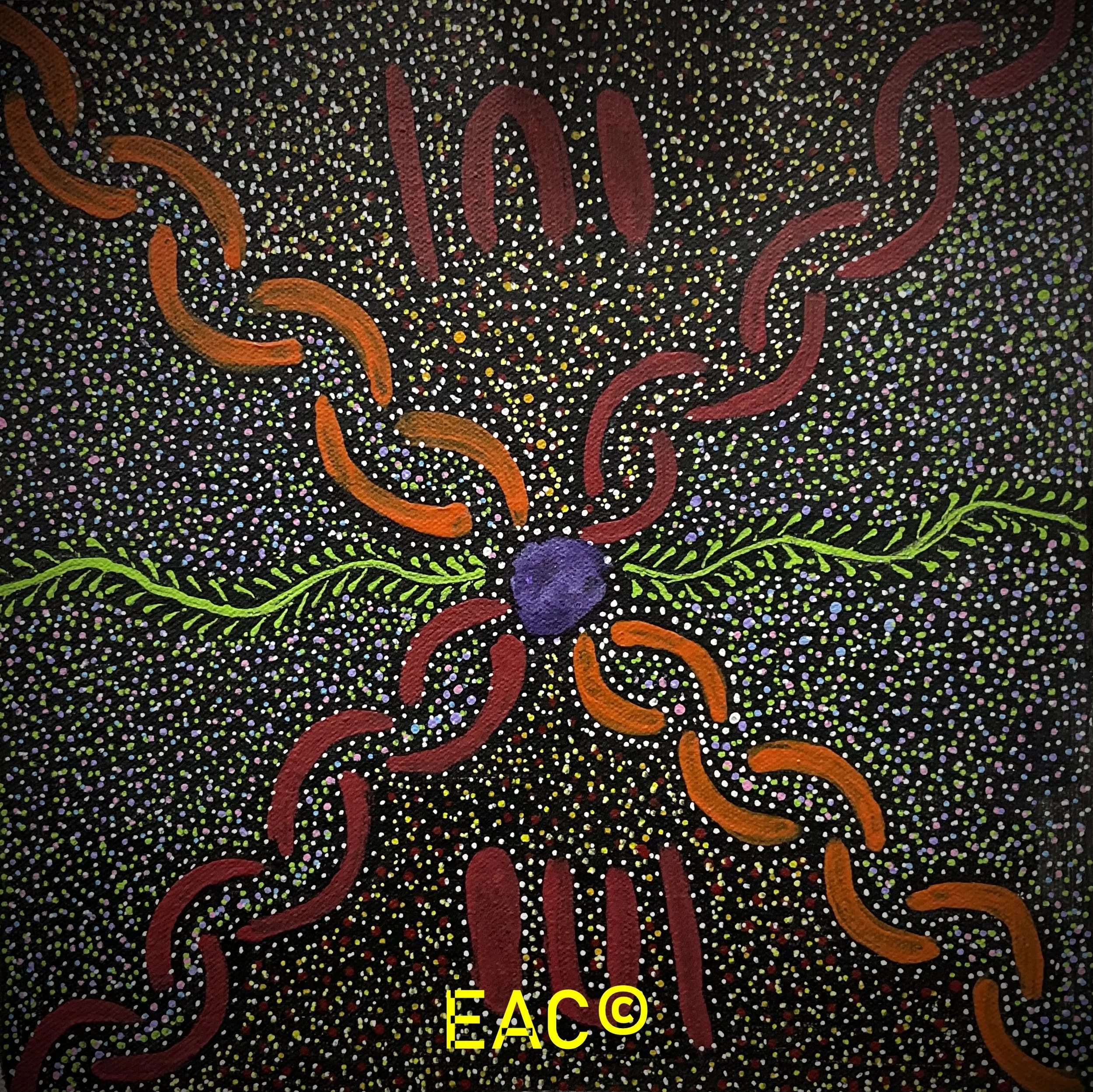 23.521 Bush Medicine - Thelma.jpeg