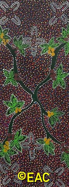 26.222 Women collecting bush tomatoes - Maureen.webp