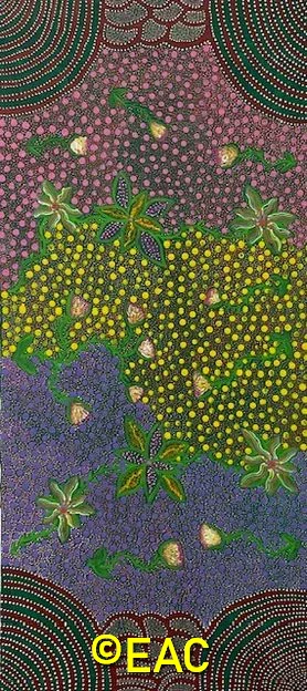26.219 Native Flowers - Shirley.webp
