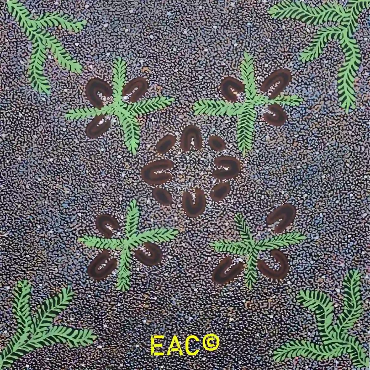 25.401 Women collecting bush medicine - Eliz.webp