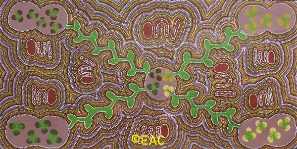 24.356 Bush Tomatoes - Irene.webp