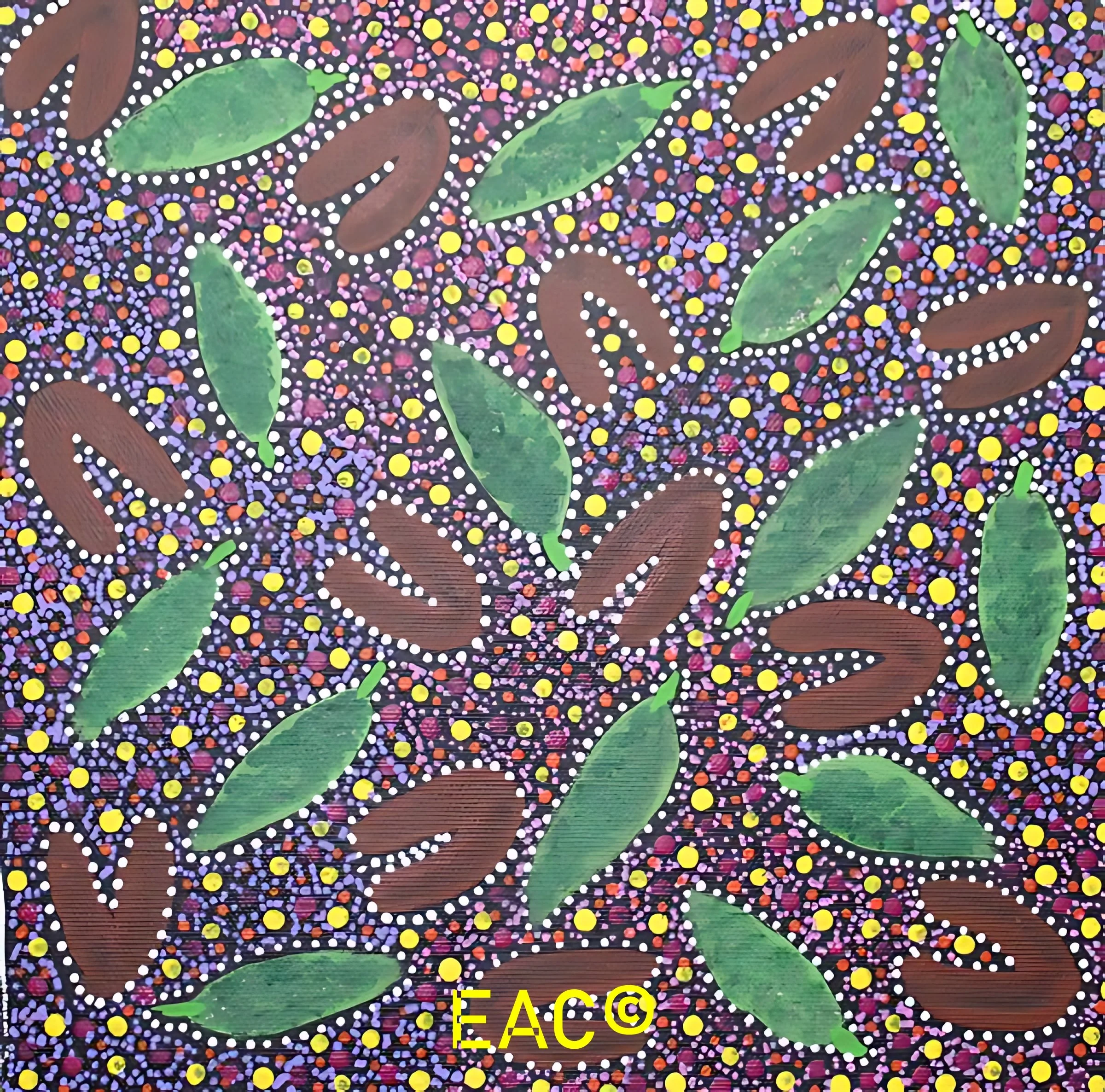 Maureen Dixon - Women collecting bush medicine