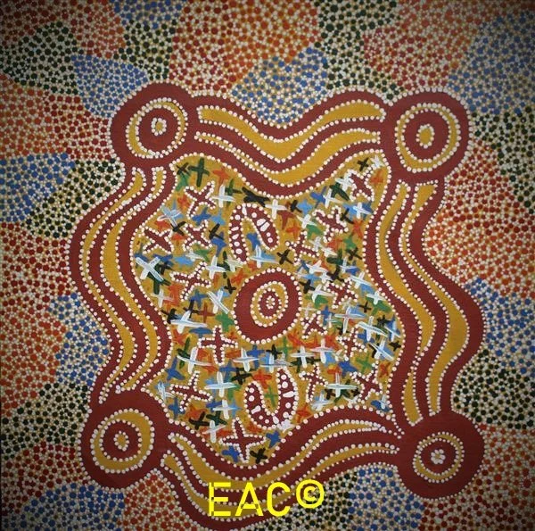 24.36 Budgerigar Dreaming - Deanne.jpeg