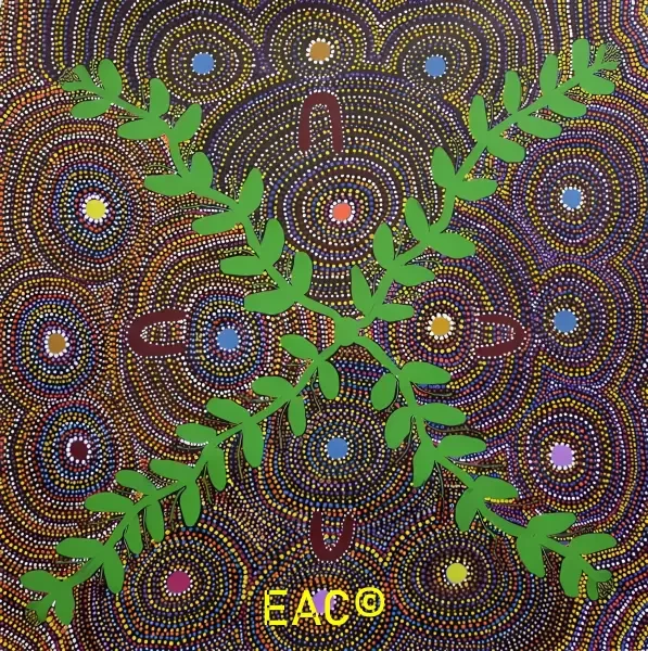 23.455 Bush medicine - Joy.webp