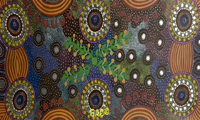 Thelma Dixon - Women collecting bush tomatoes