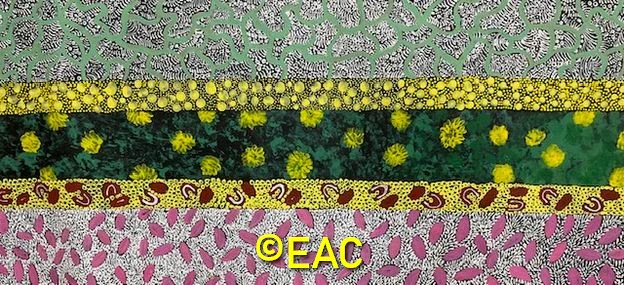 26.129 Bush medicine flowers - Janet.webp