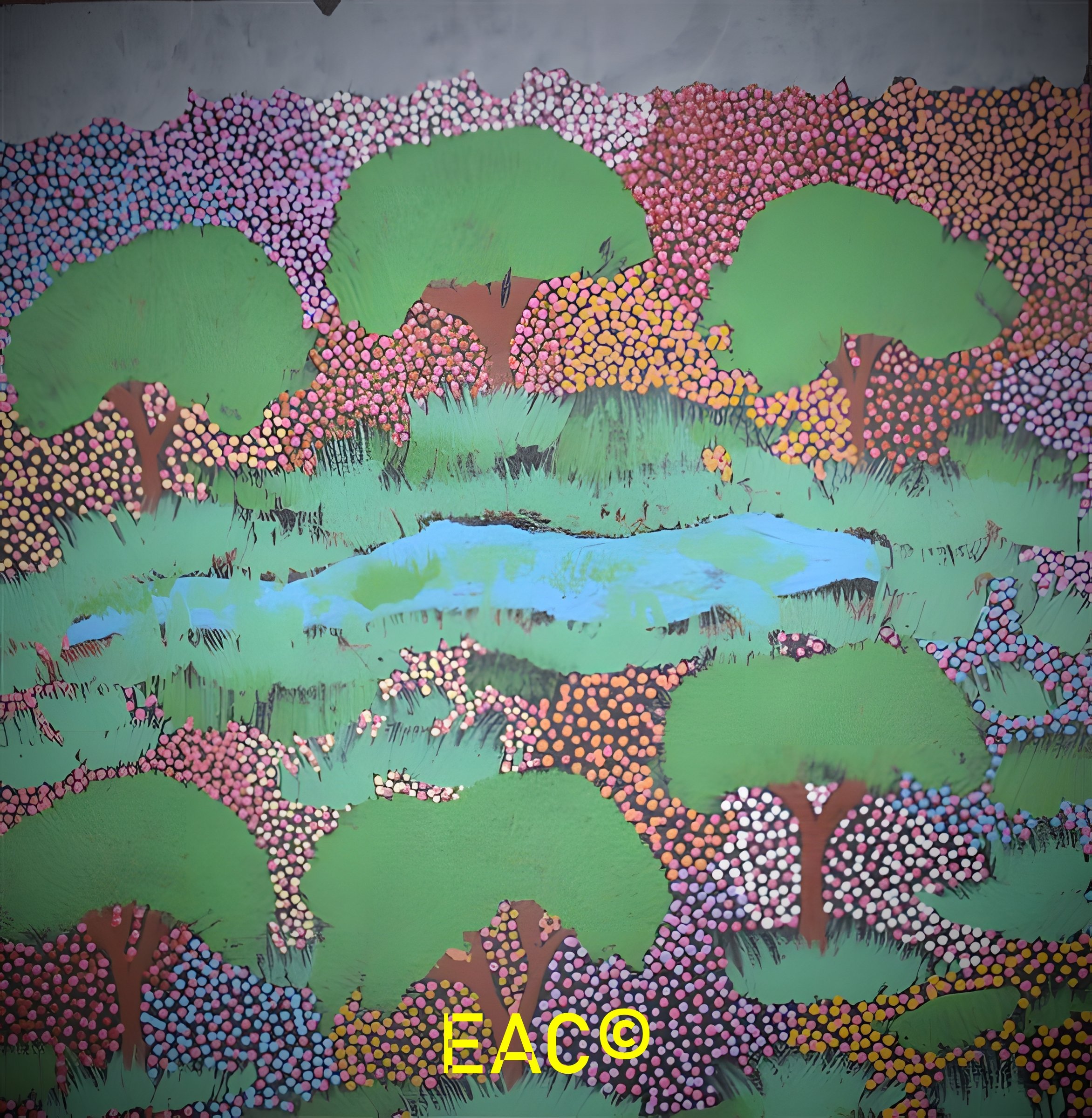 25.301 Bush native plants growing after the rain - Maryanne.jpeg