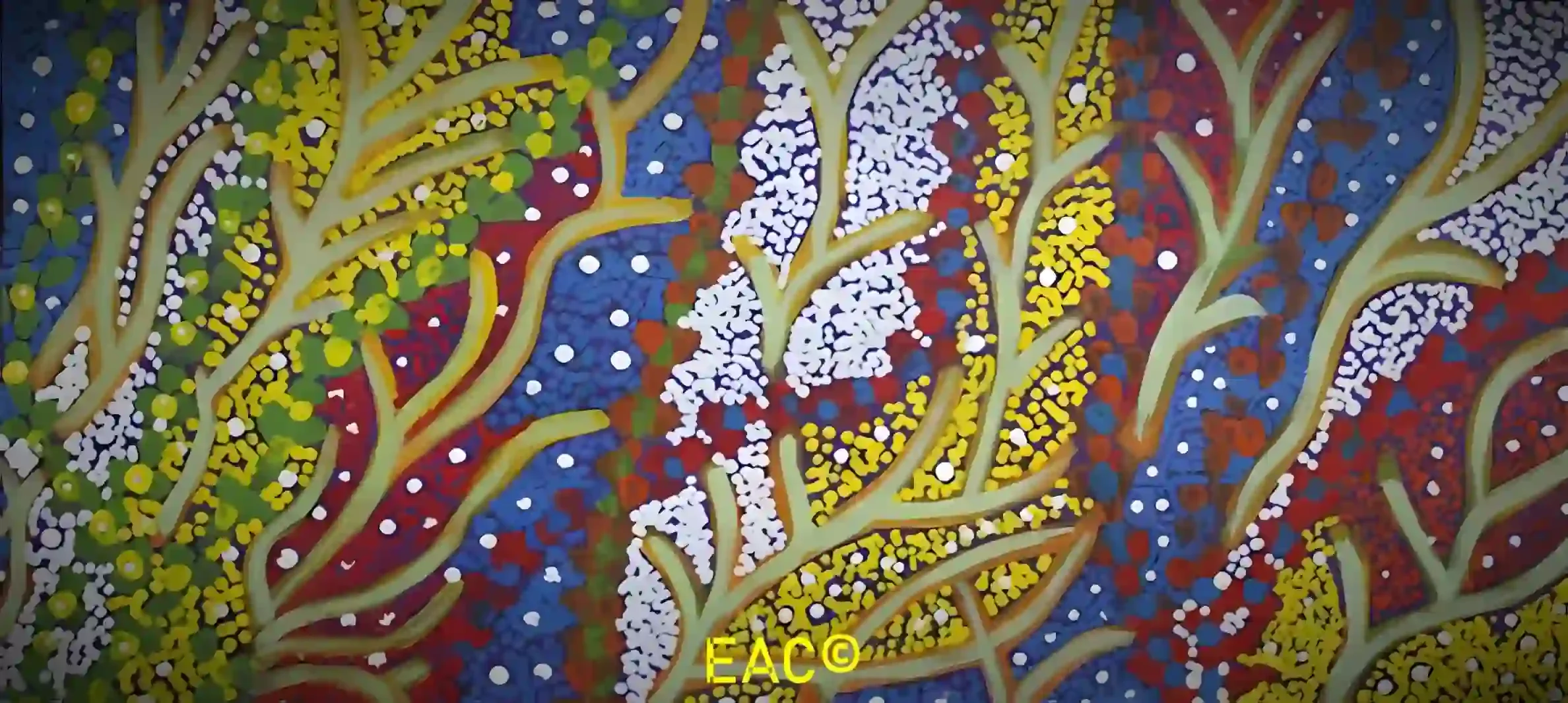 Janet Tilmouth - Healing Bush Medicine