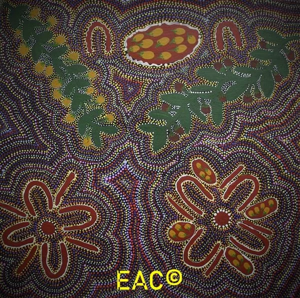 24.293 Bush Tomatoes - Rachel.jpeg