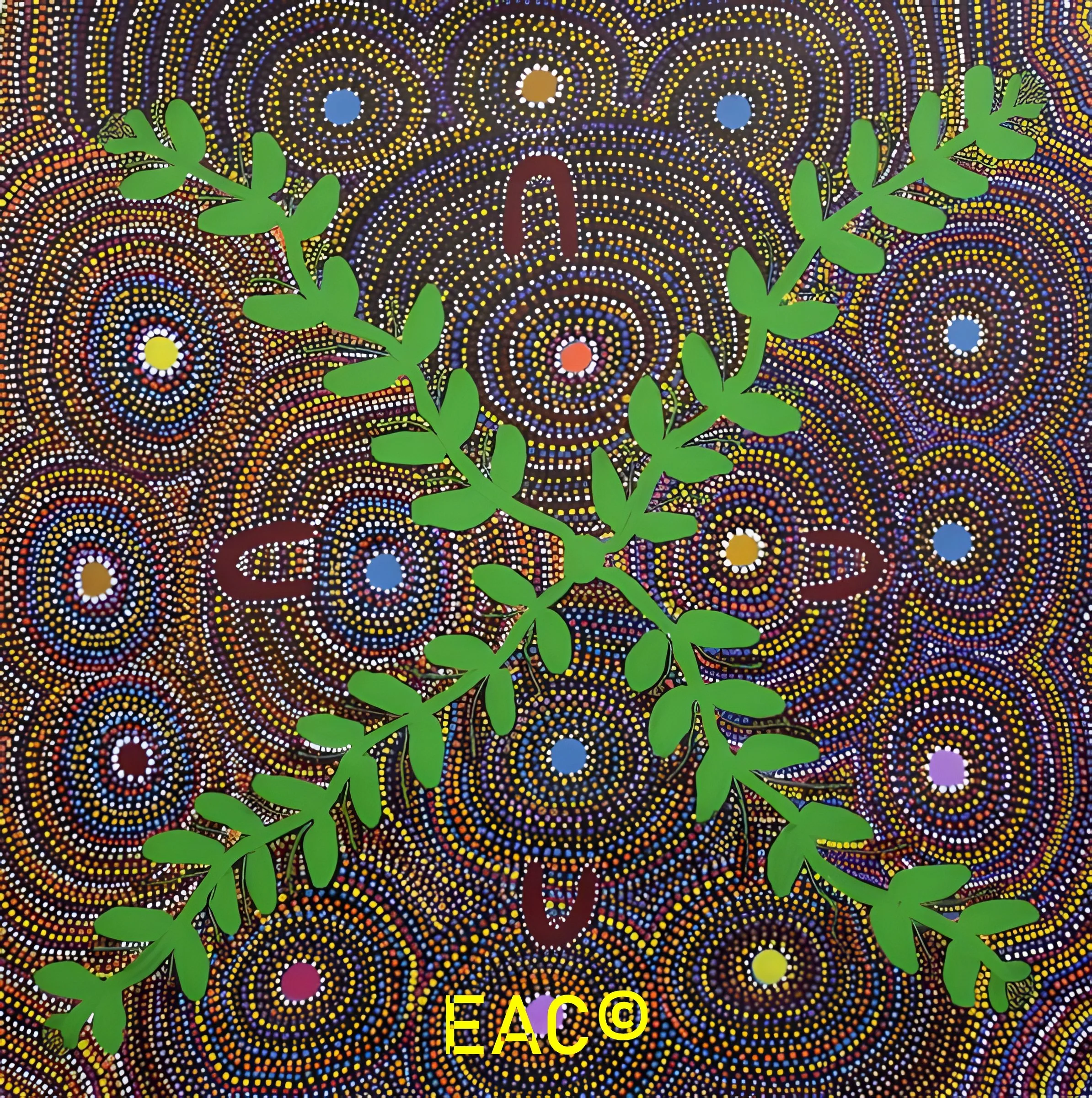 Joy Turner - Bush medicine