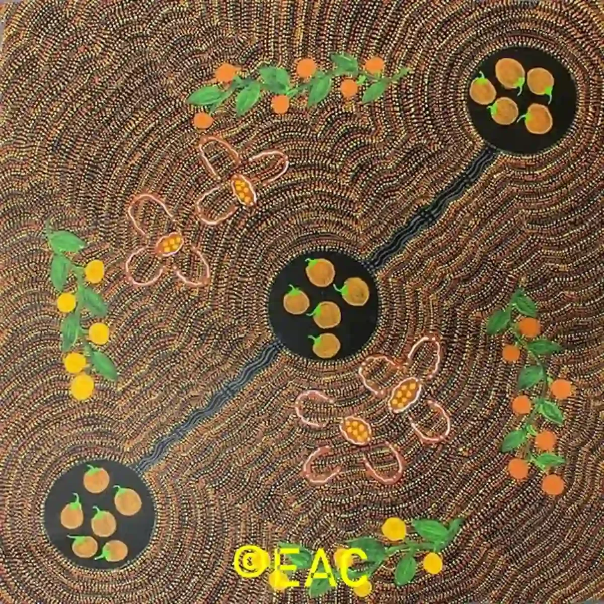 Joanne Tilmouth - Women collecting bush tomatoes