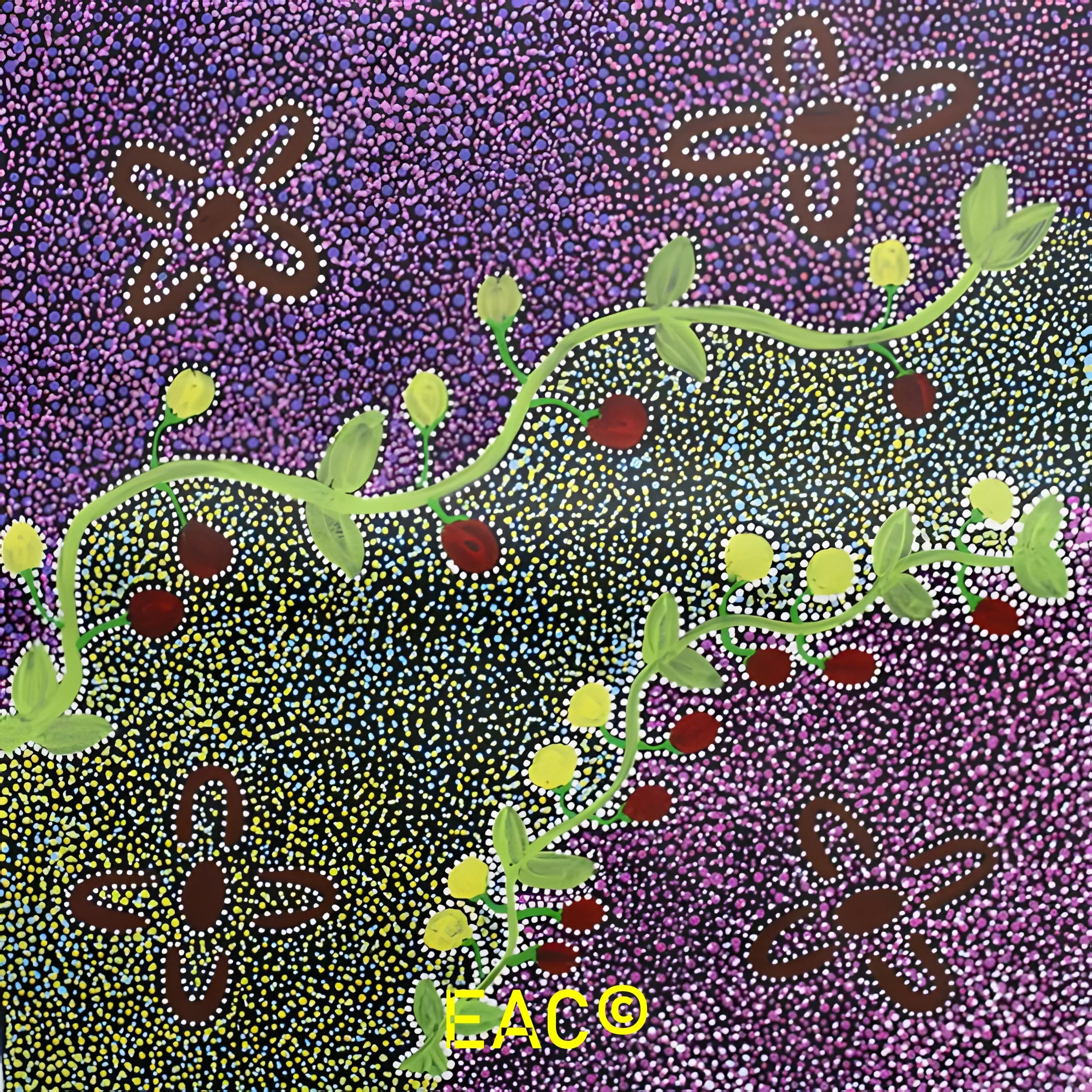 26.28 Bush tomatoes - Shirley.jpeg