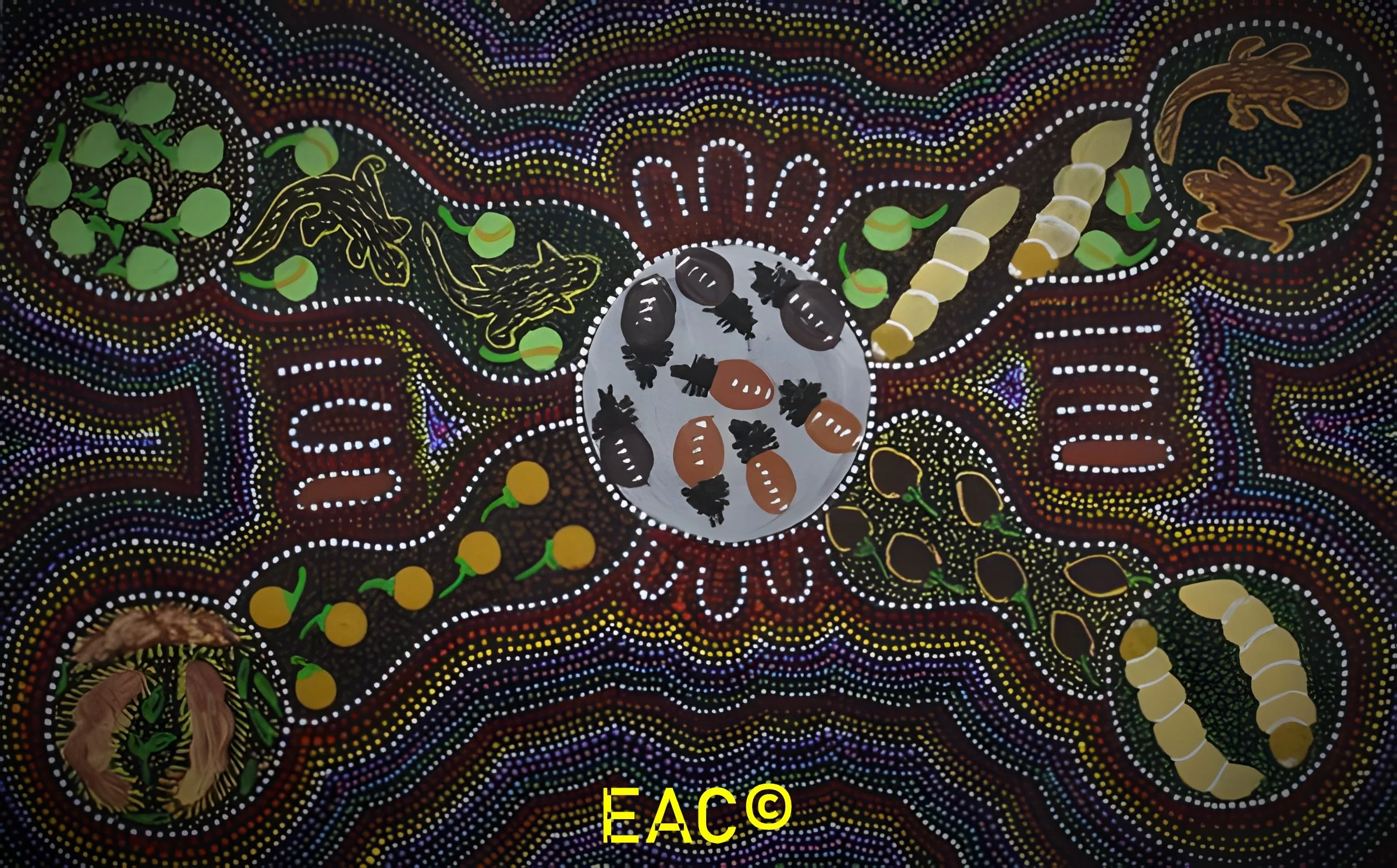 25.329 Women collecting bush tucker - Thelma.jpeg