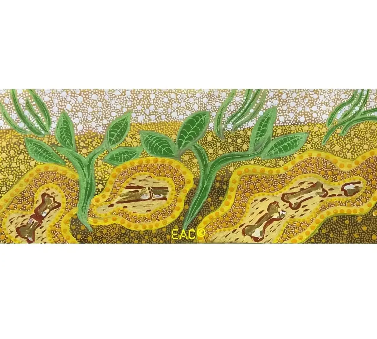 Janet Tilmouth - Alcoota Fossil Site