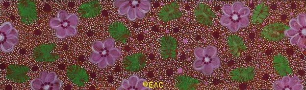 26.45 Bush medicine flowers - Elizabeth.webp