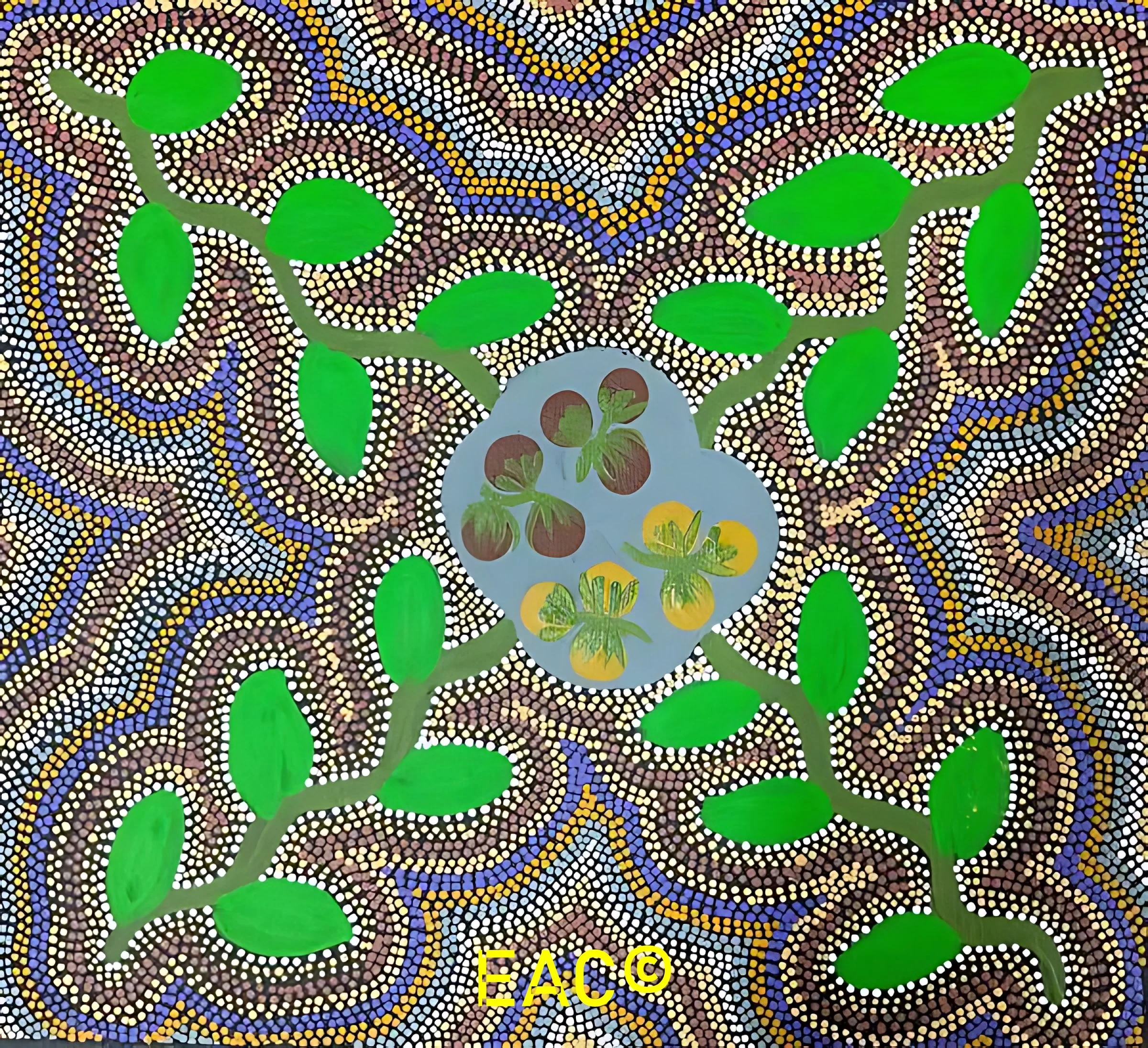 24.226 Bush tomatoes in season - Maryanne.jpeg