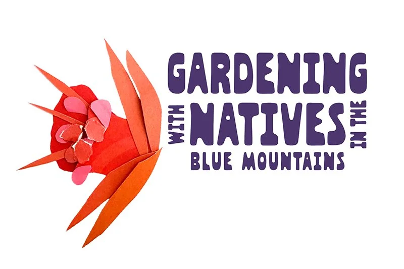 Gardening with Natives in the Blue Mountains