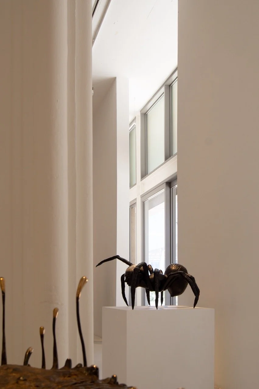 Riaan Jantjies 21014 No13.jpeg