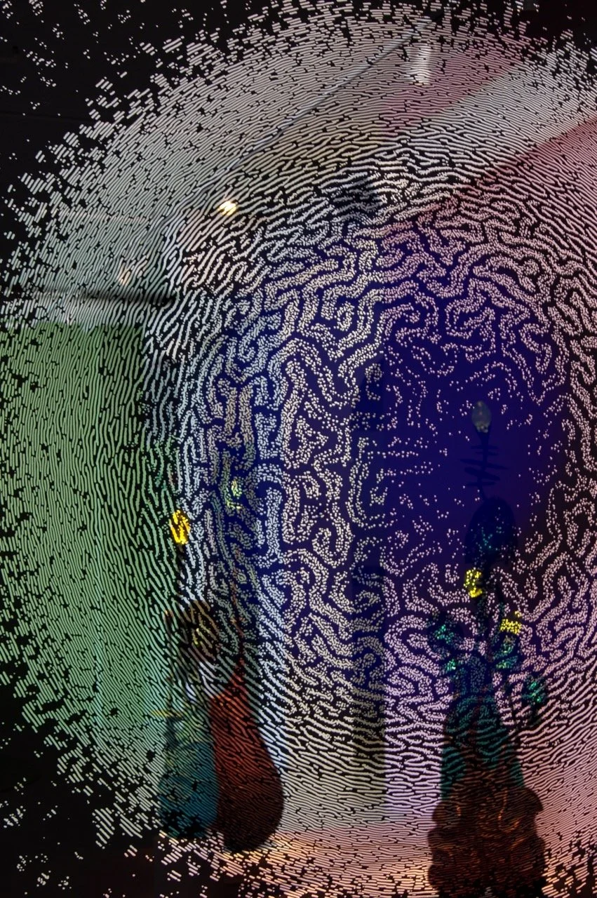 Riaan Jantjies 21014 No11.jpeg