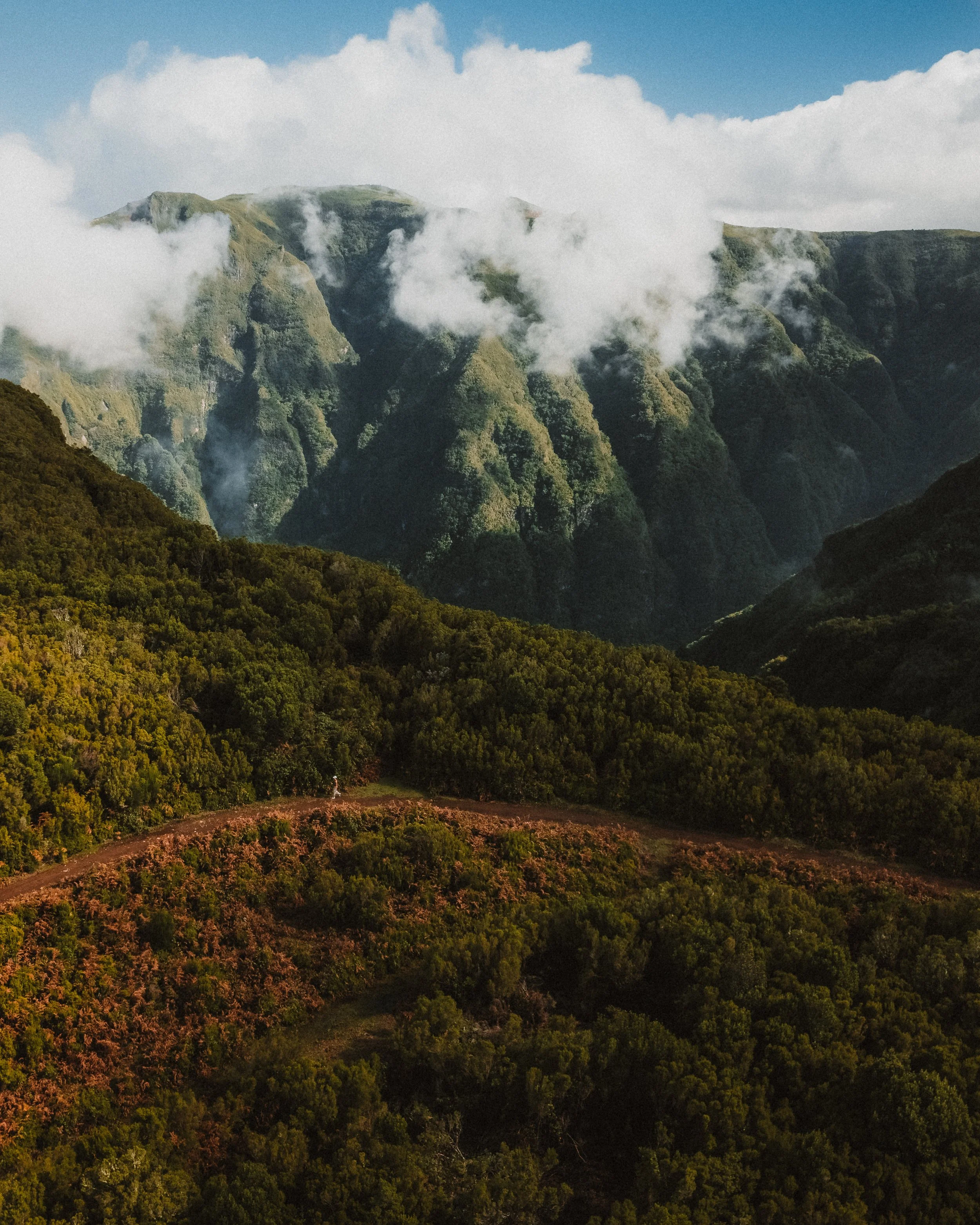 Lush forest, mountain landscape with a hiking trail