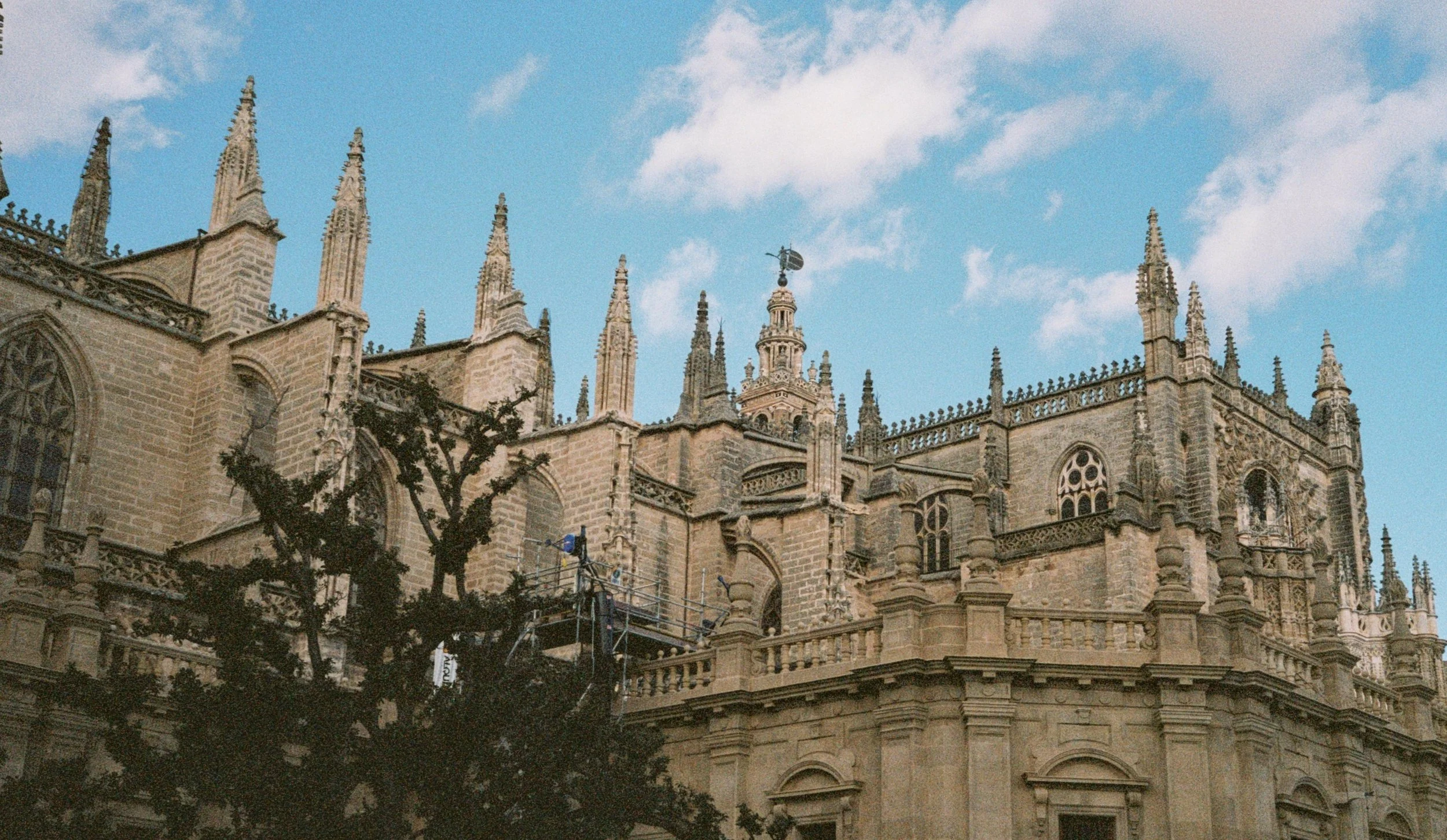 24_01_2026_0073.jpg