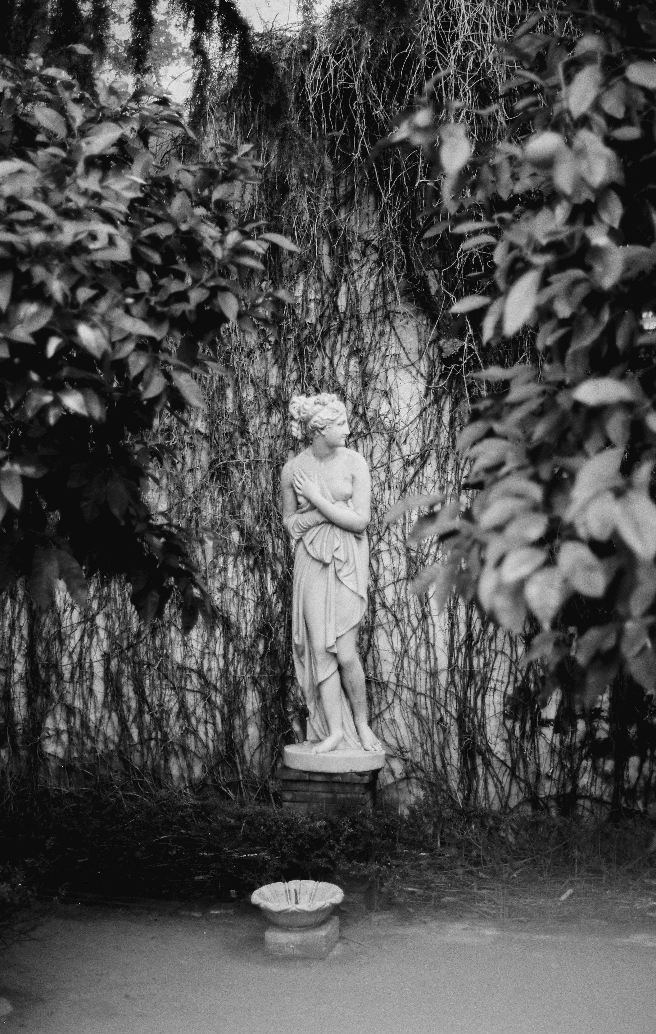 Monopan 50 - Leica M3