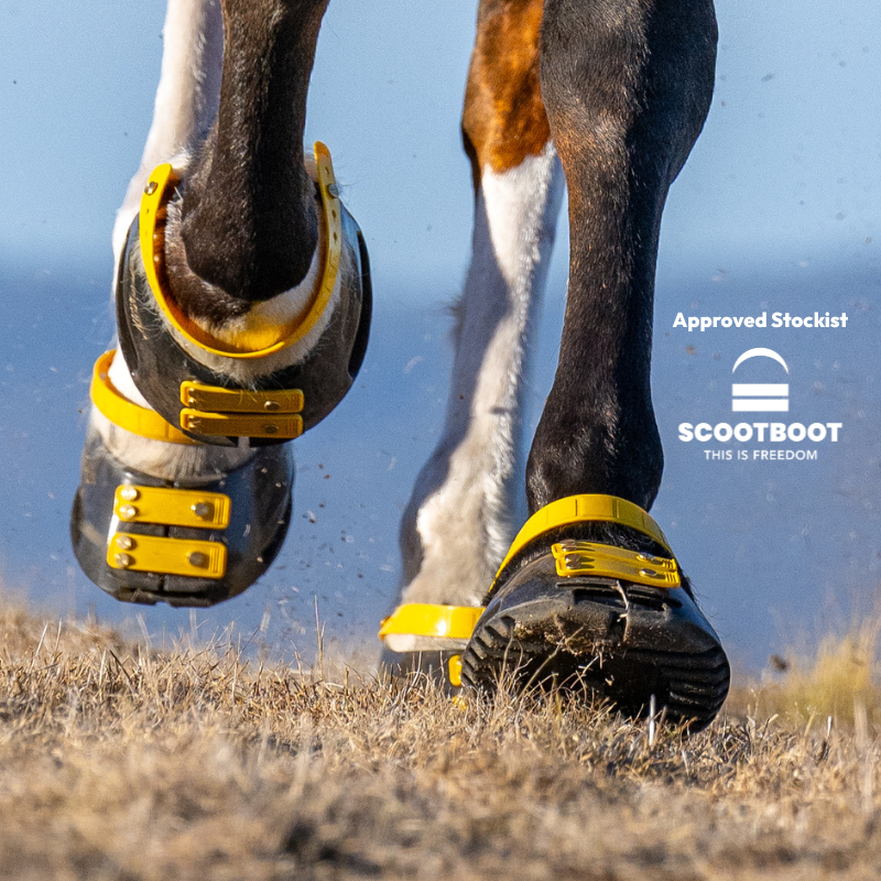 ScootBoot