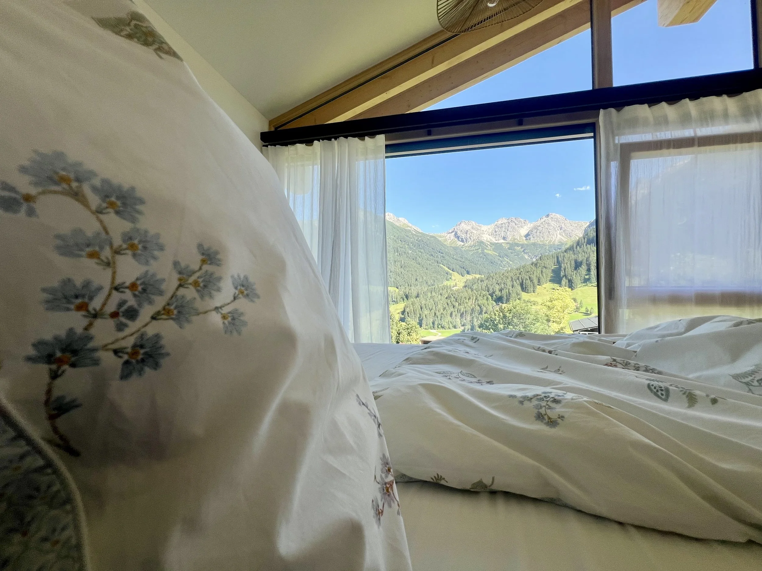 Bergblick - hā 1198.jpeg