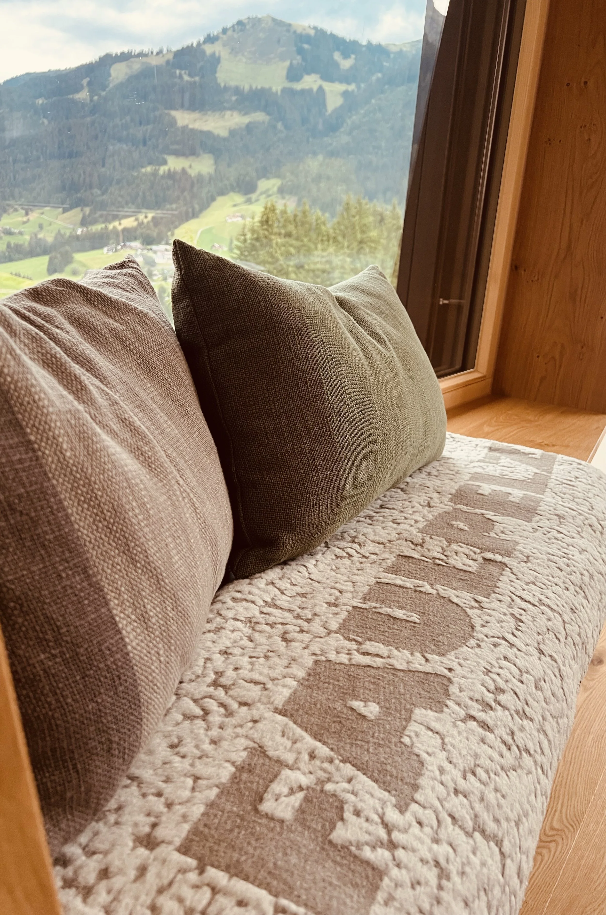 Blick aus einem Zimmer auf eine Berglandschaft mit Wäldern und Wiesen, mit zwei braunen Kissen auf einem gemusterten Teppich im Vordergrund.