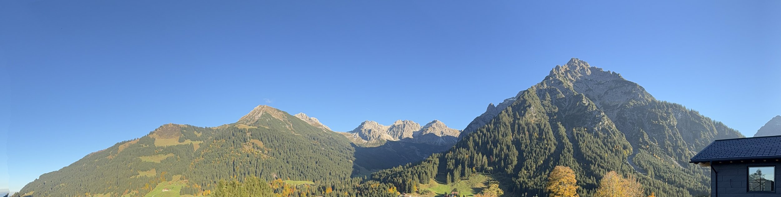 Blick vom hā 1198 in Mittelberg im Kleinwalsertal auf die umliegende Berglandschaft mit bewaldeten Hängen, markanten Gipfeln und blauem Himmel.