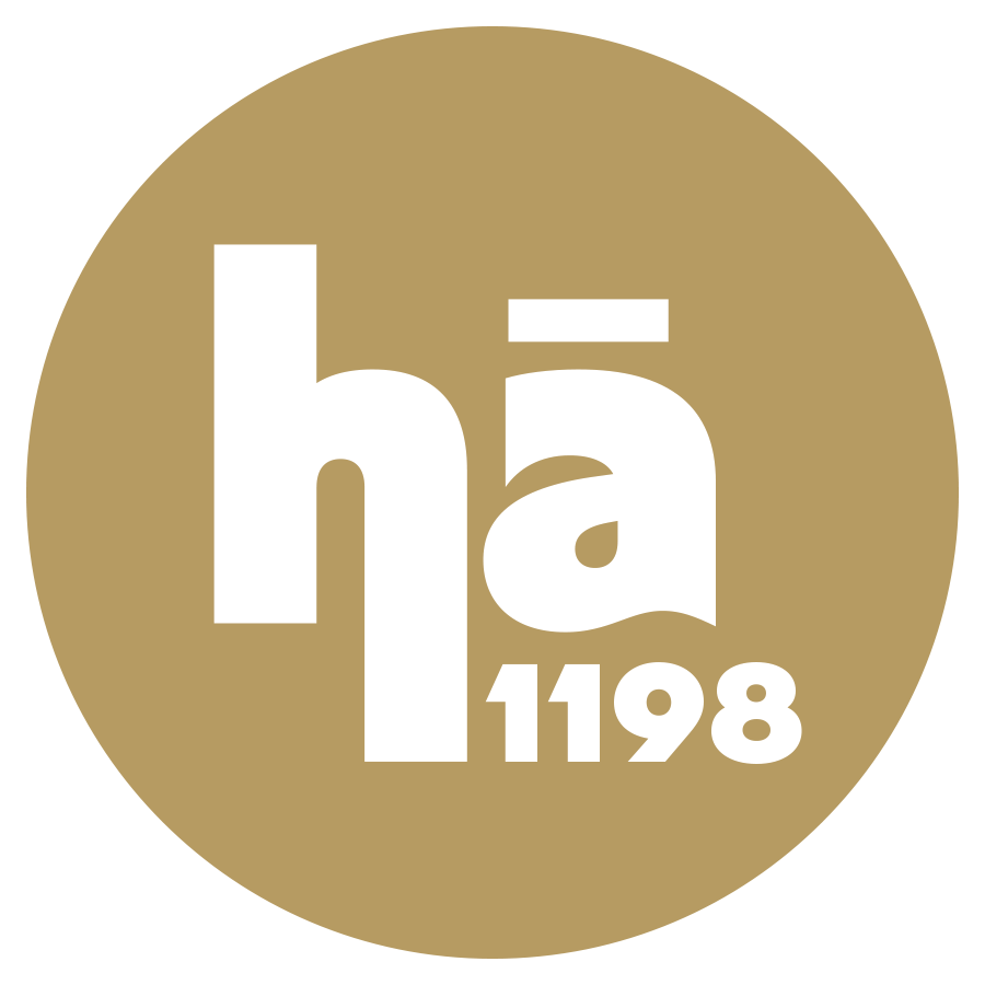 ha1198.com