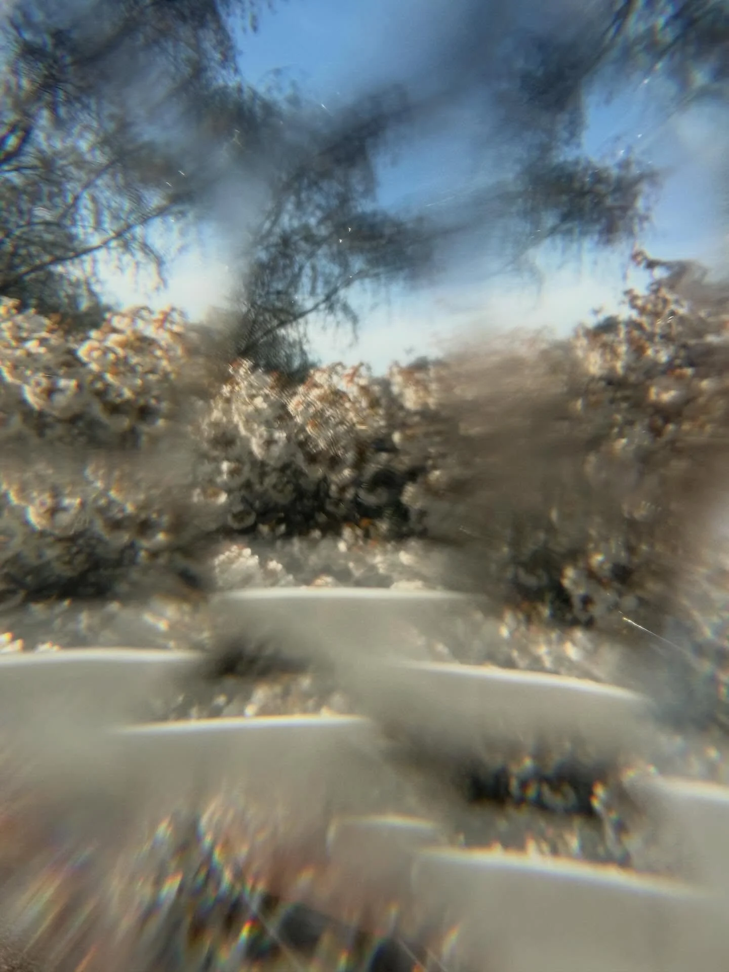 A prism, a camera, and a killer view. No filter needed. 🌸

#blossom #occultart #witchy #diyzine #artinspo