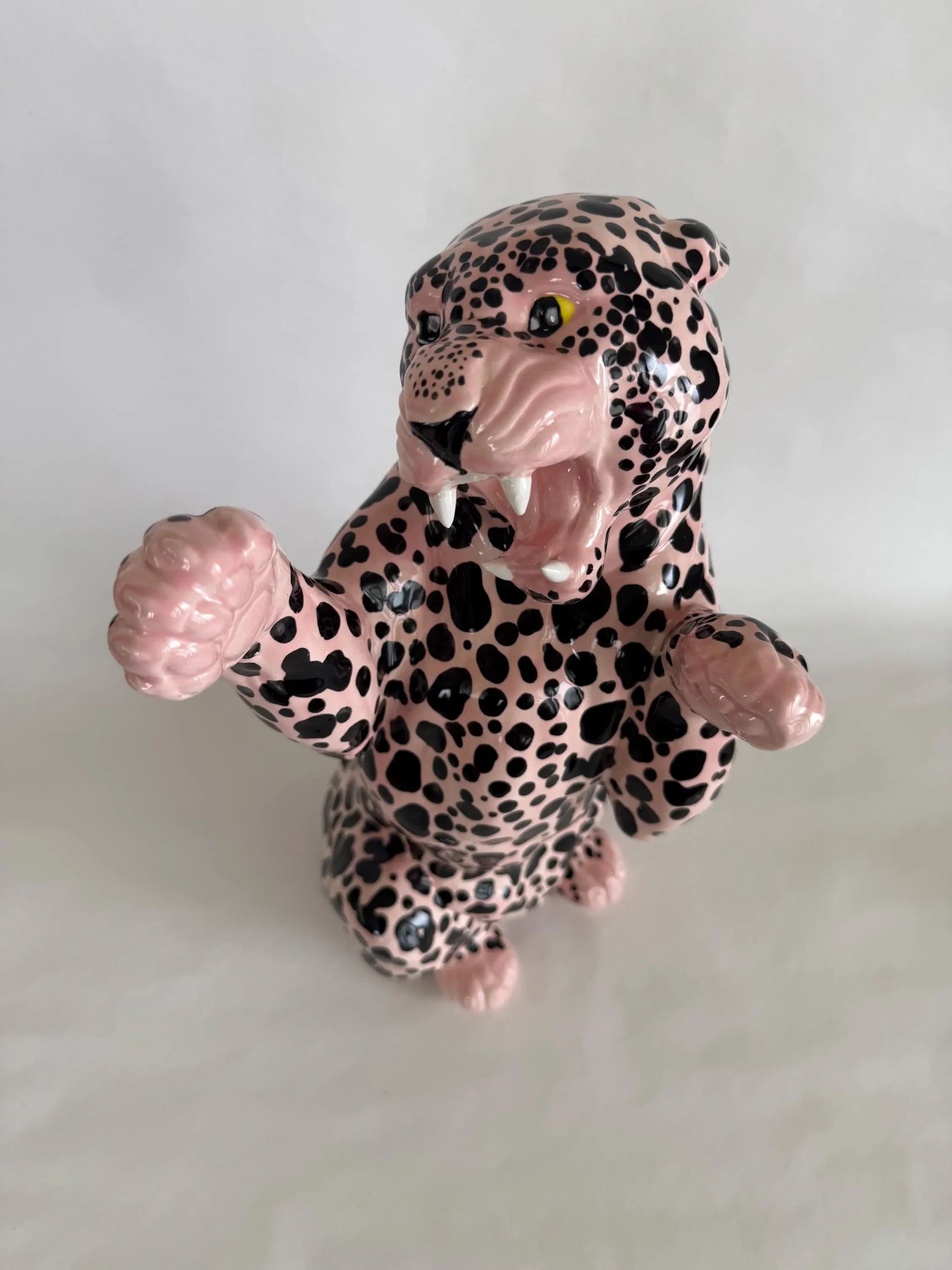 Pink Leopard